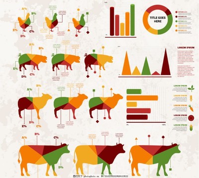 畜牧产品商务信息图
