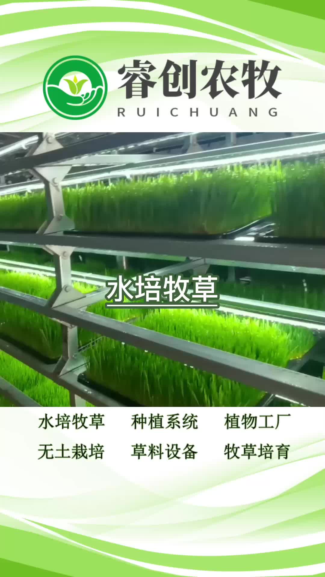 水培牧草工厂,畜牧现代水培牧草设备工厂带你了解设备产品;.