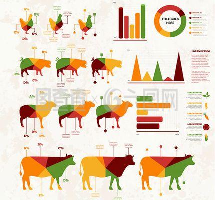 畜牧产品商务信息图矢量素材